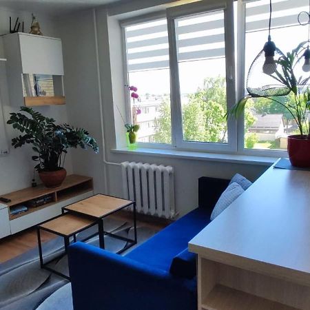 R&J Apartment II Panevėžys Buitenkant foto